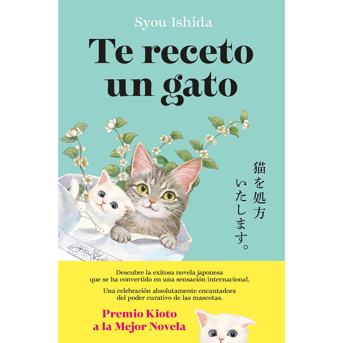 Te receto un gato  1