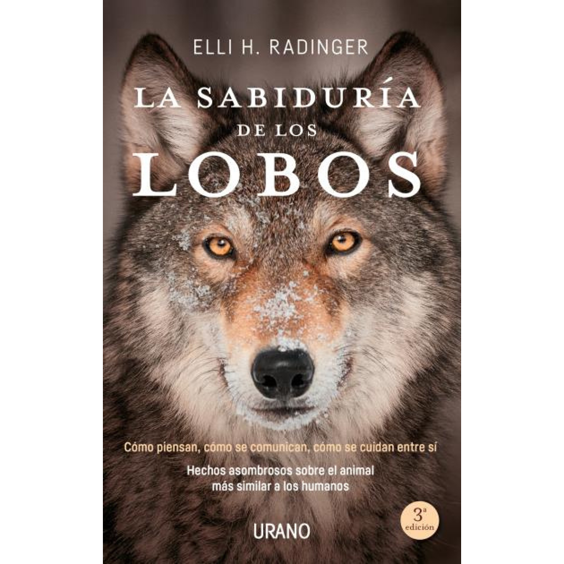 LA SABIDURÍA DE LOS LOBOS  1