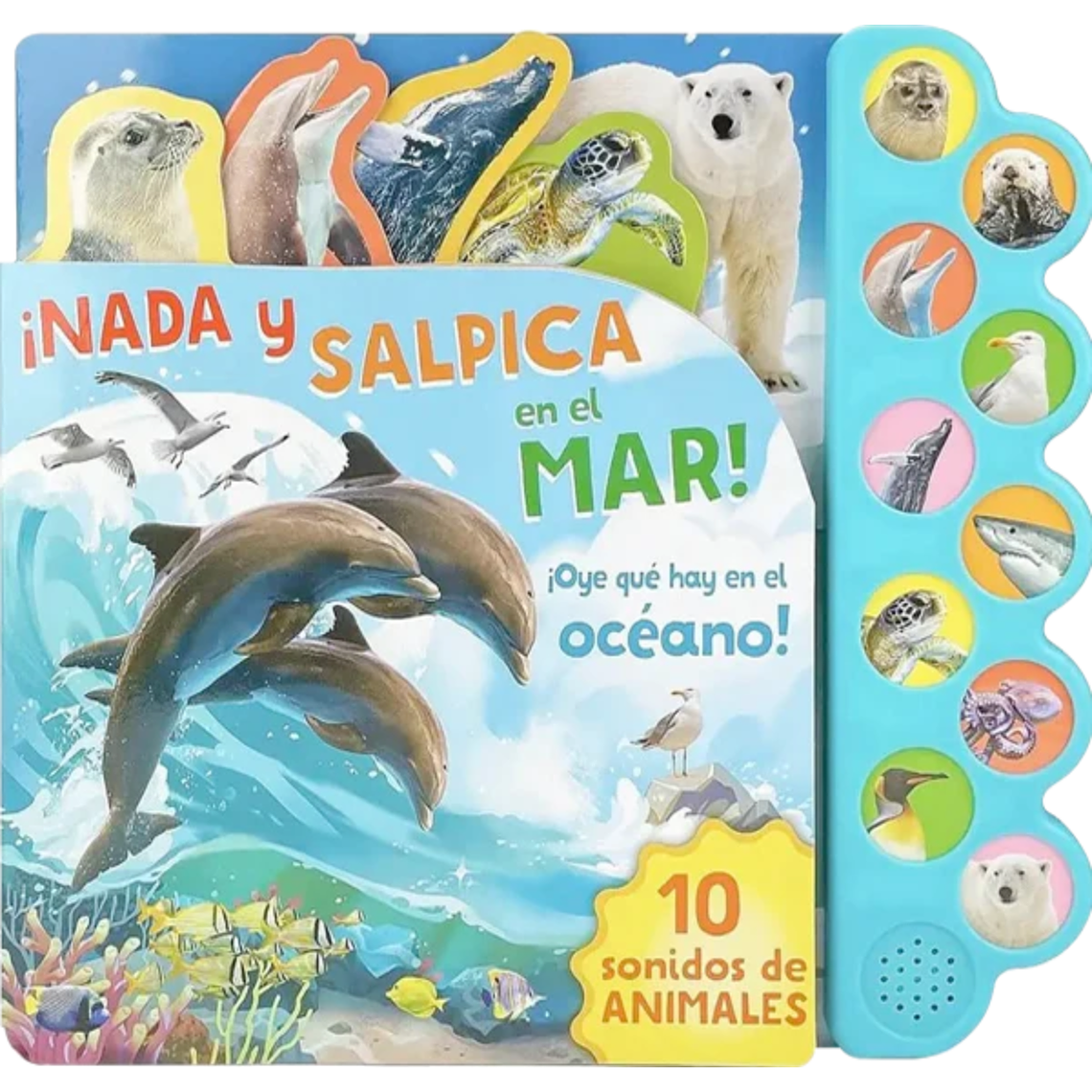 10 Sonidos del océano ¡Nada y salpica en el mar! 1