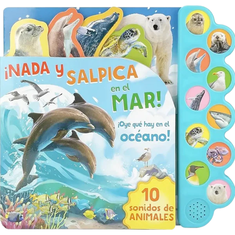 10 Sonidos del océano ¡Nada y salpica en el mar! 1