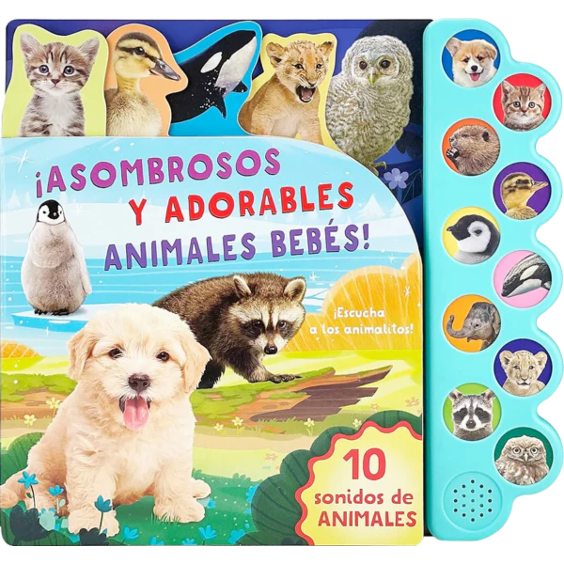 10 Sonidos de asombrosos y adorables animales bebés! 1