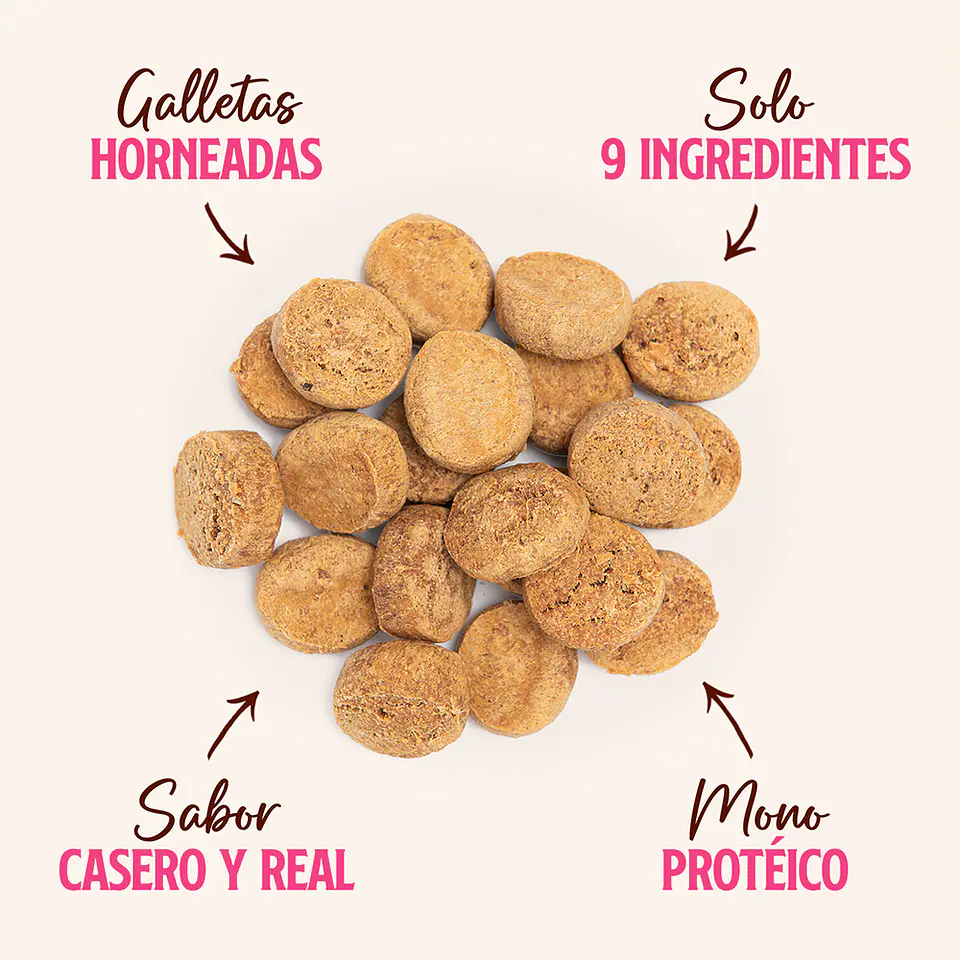 Snack Receta Casera de Cerdo Zapallo 100g 3