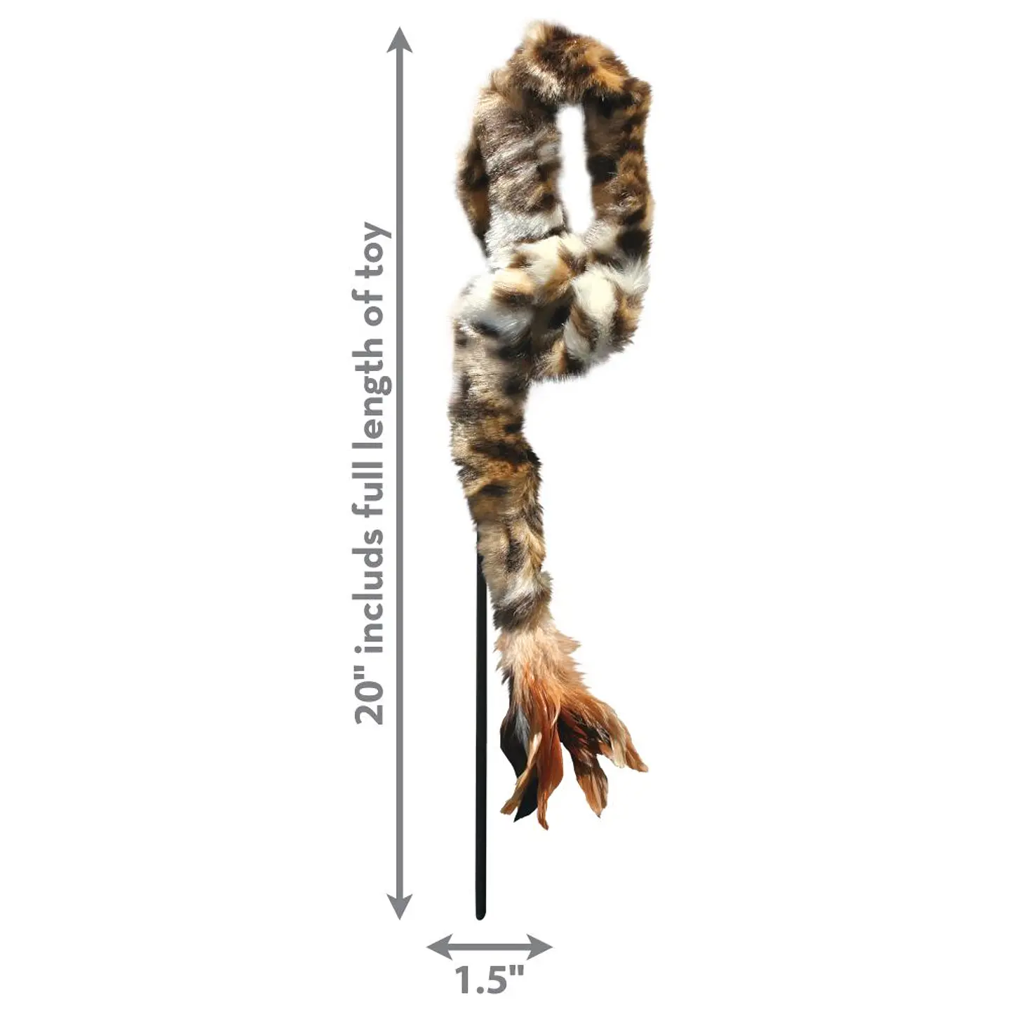 Kong Cat Feather Teaser 3