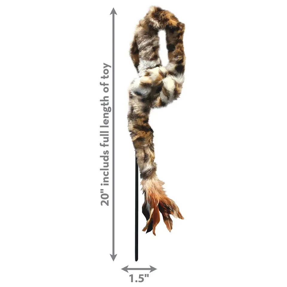 Kong Cat Feather Teaser 3