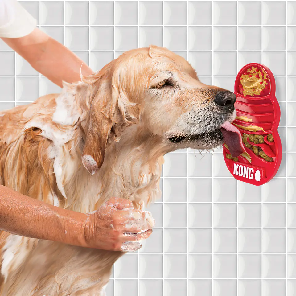 Kong Licks 2