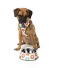 Plato para perro FuzzYard GO NUTS  - Miniatura 2