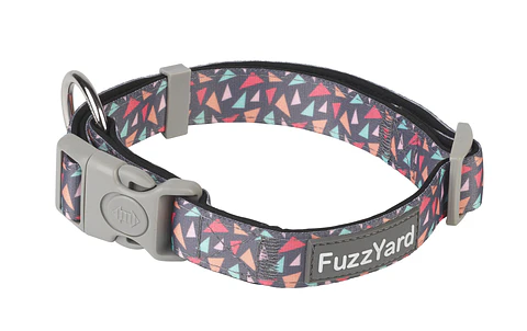 Collar de Perro FuzzYard Rad