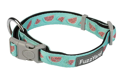 Collar de Perro FuzzYard Summer Punch