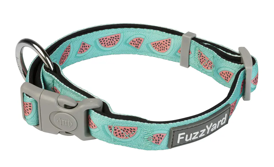 Collar de Perro FuzzYard Summer Punch 1