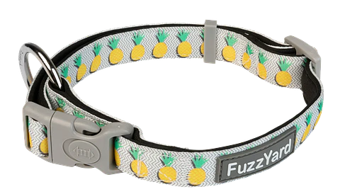 Collar de Perro FuzzYard Piña Colada