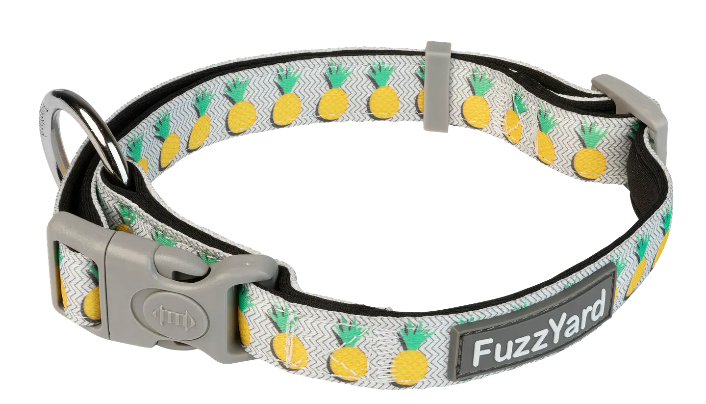 Collar de Perro FuzzYard Piña Colada 1