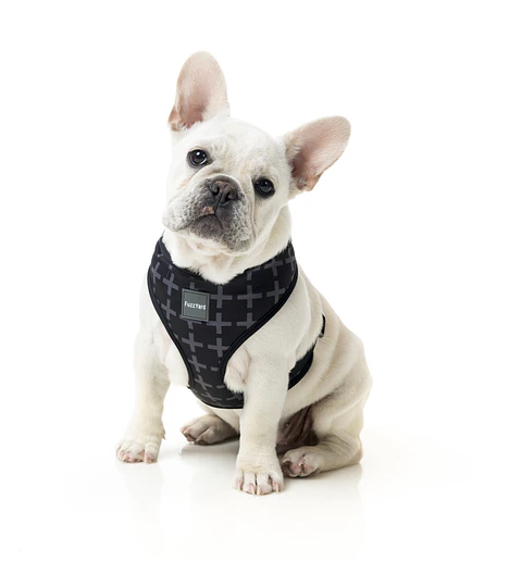 Arnés FuzzYard Yeezy