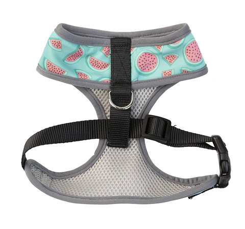 FuzzYard Summer Punch Talla S – Arnés Ajustable para Perros