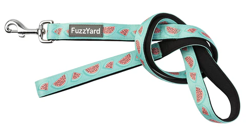 Correa FuzzYard Summer Punch