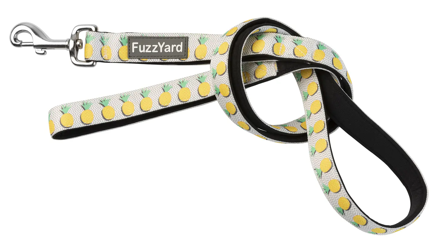 Correa FuzzYard Piña Colada 1
