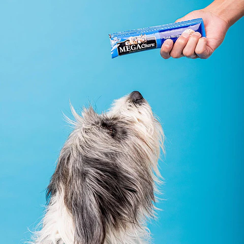 Megachuru dog 48g / 3 tubos - Tuna