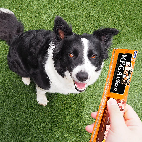 Megachuru dog 48g / 3 tubos - Chicken