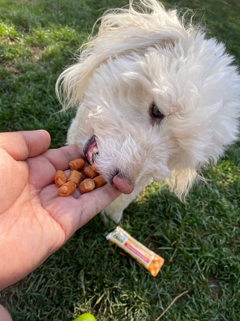 Churu bites dog 12g x 8 - Chicken/Salmon