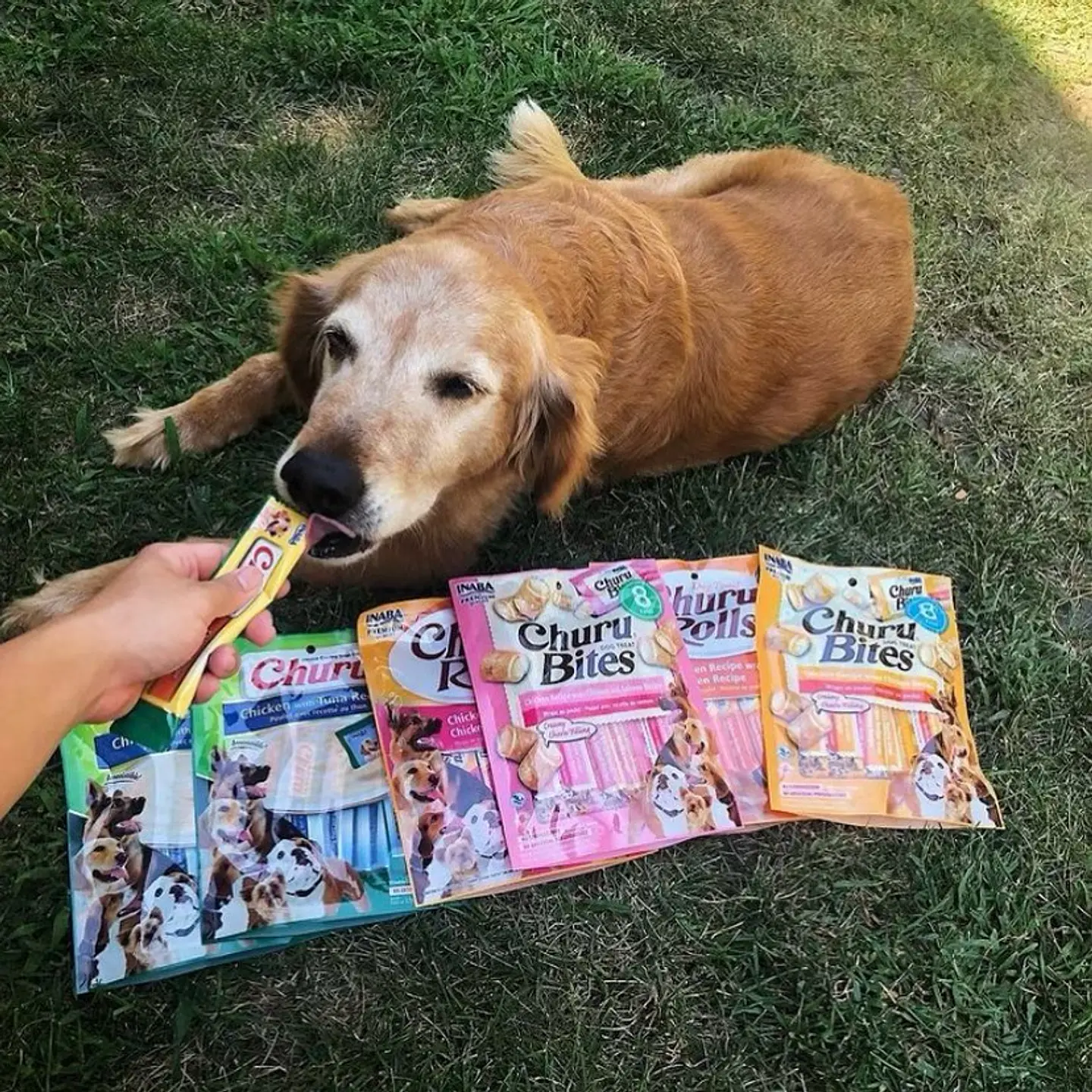 Churu bites para perros sabor Pollo/ Atún  4