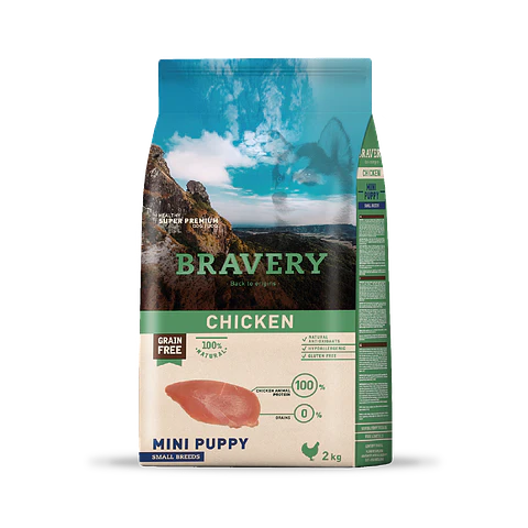 Bravery Chicken Mini Puppy