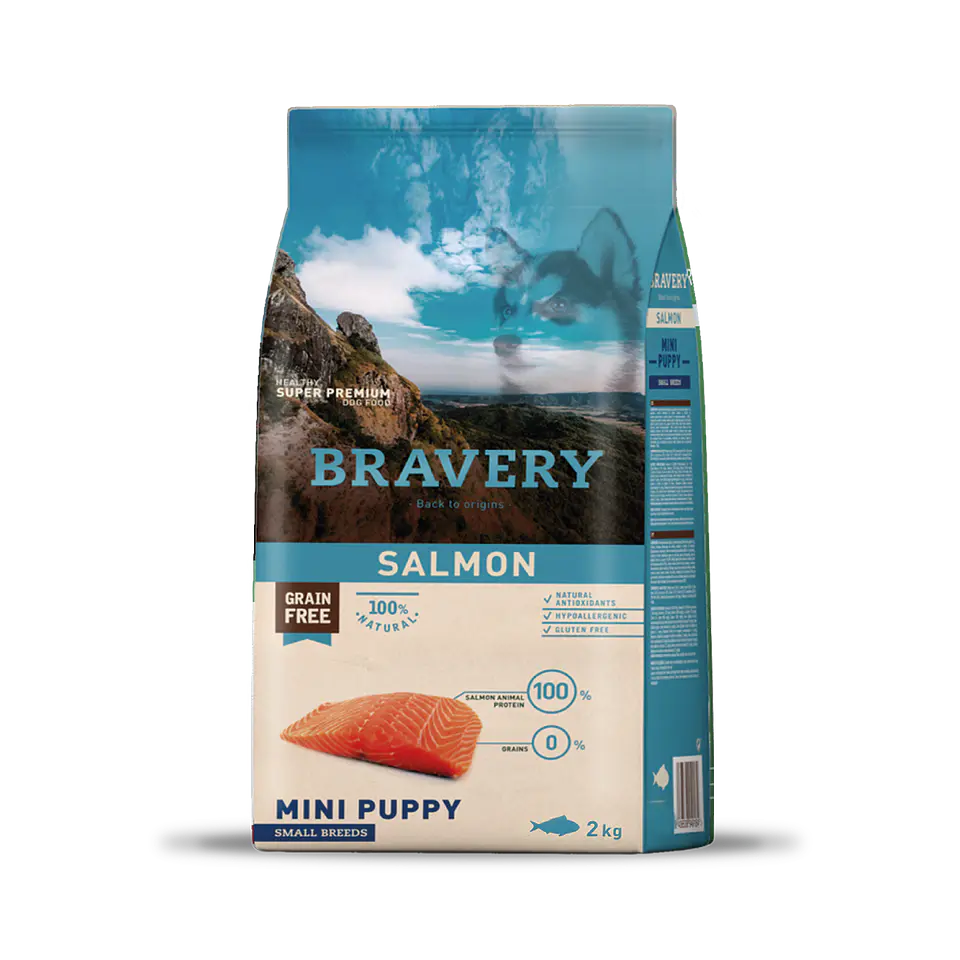 Bravery Salmon Mini Puppy 1