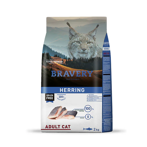 Bravery Herring Adult Cat