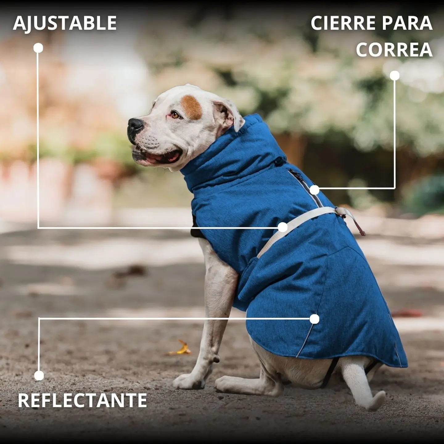 Parka Dry and Comfy 4