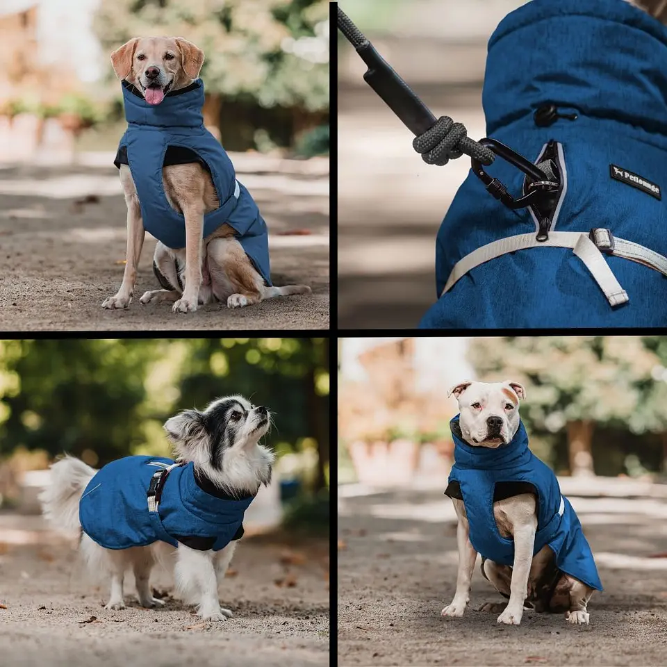 Parka Dry and Comfy 5