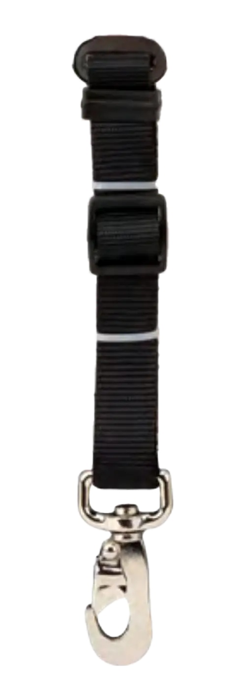 Cinturon de seguridad Pawise 