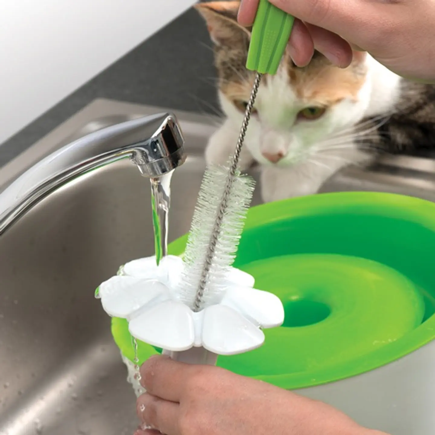 Catit Set de limpieza fuente de agua  4