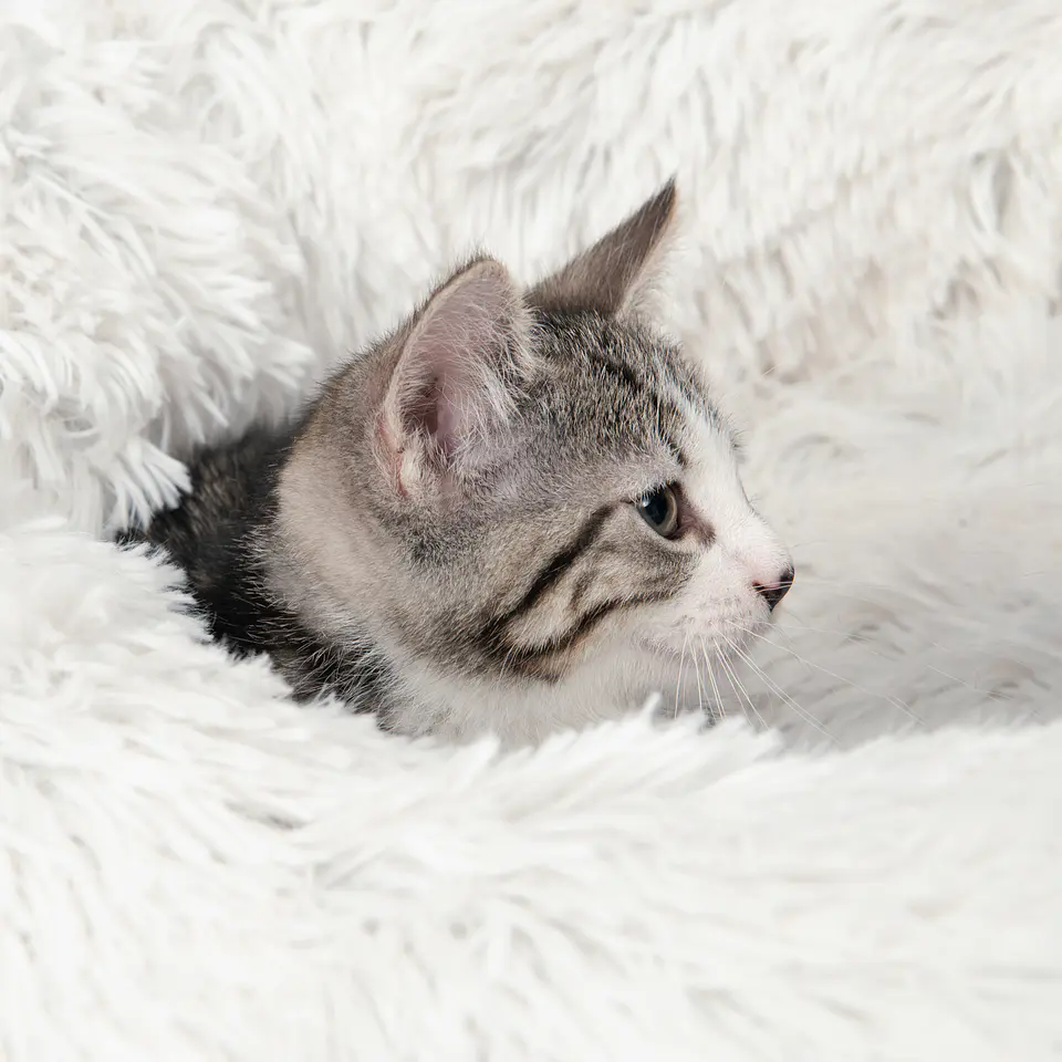 Catit Cama Fluffy 3