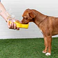 Botella de agua GFPet - Miniatura 6