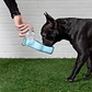 Botella de agua GFPet - Miniatura 7