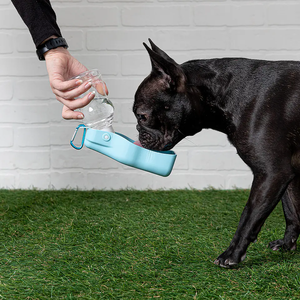 Botella de agua GFPet 7