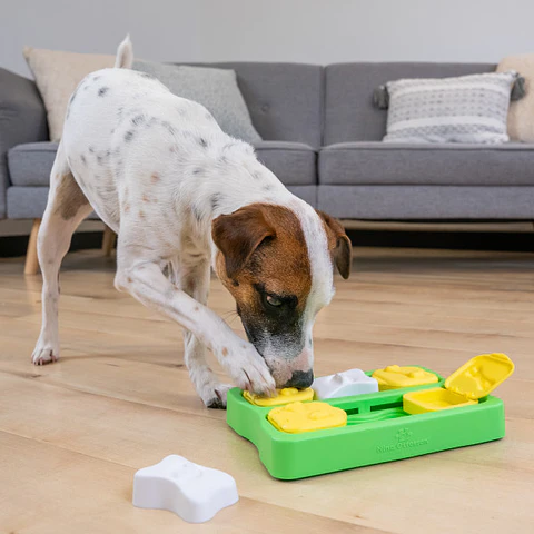 Outward Hound Puzzle Brick Nivel dos