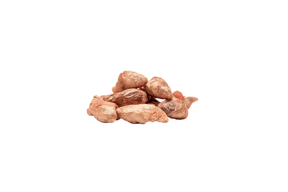 Snack Tributo Corazón de Pollo Liofilizado  2