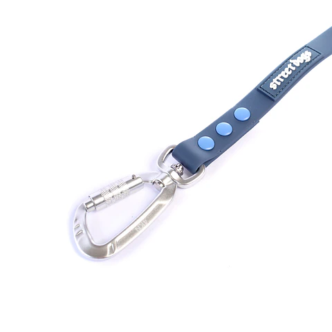 Correa PVC Street Dogs