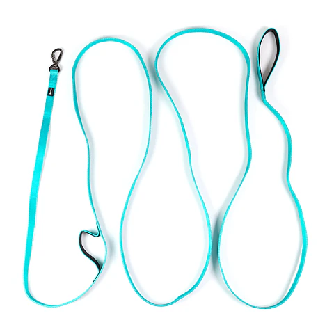 Correa larga light Street Dogs 