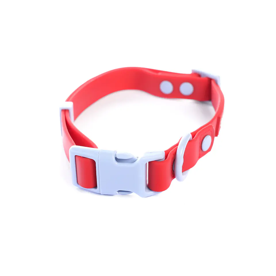 Collar PVC Street Dogs 4