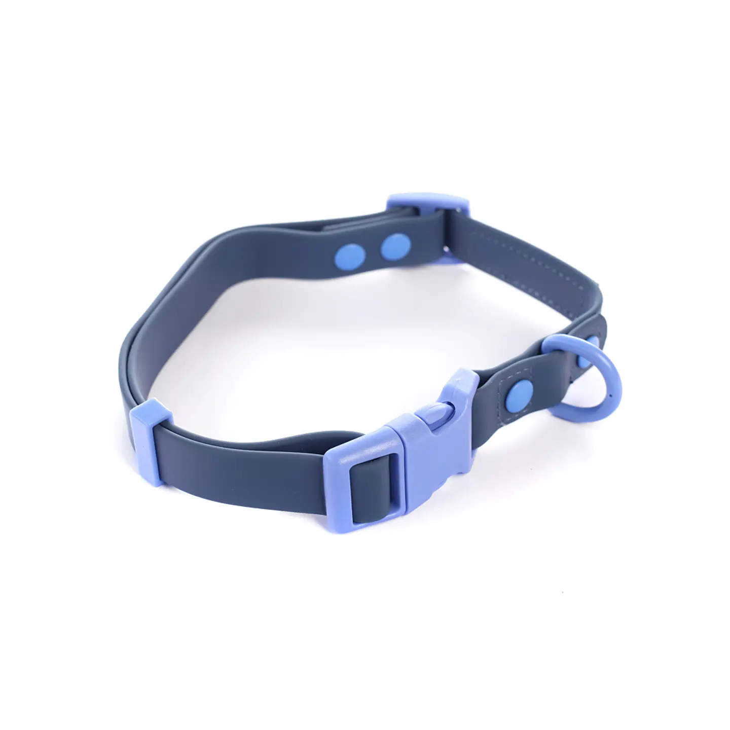 Collar PVC Street Dogs 1