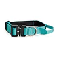 Collar combat Street Dogs - Miniatura 2