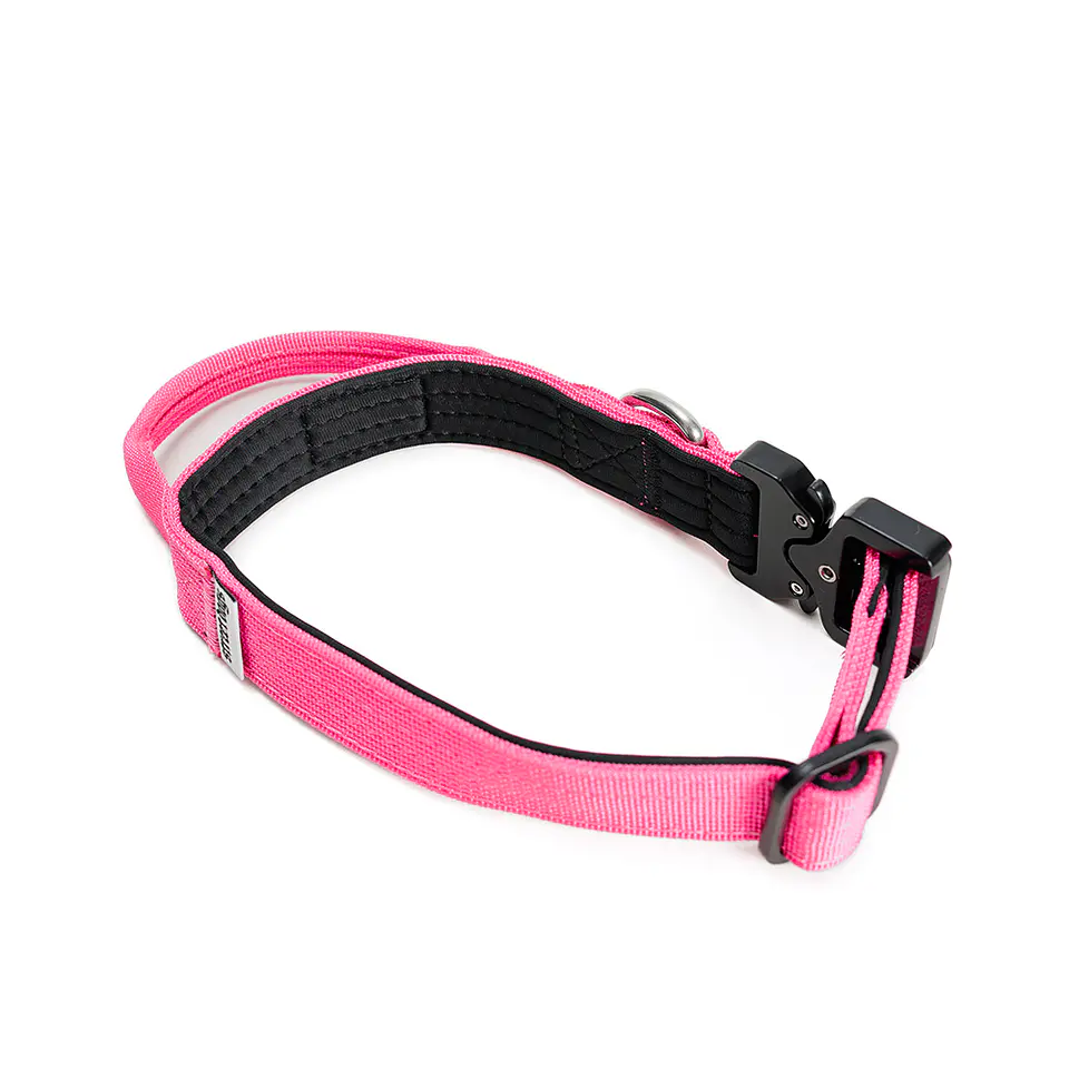 Collar combat Street Dogs 5