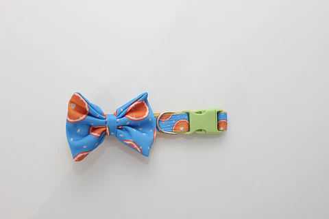 Conjunto de Naranjas BySimona 