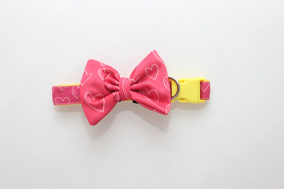 Conjunto Rosado con Corazones BySimona  1