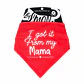 By Simona Bandana I Got It From My Mama para Perros - Miniatura 3