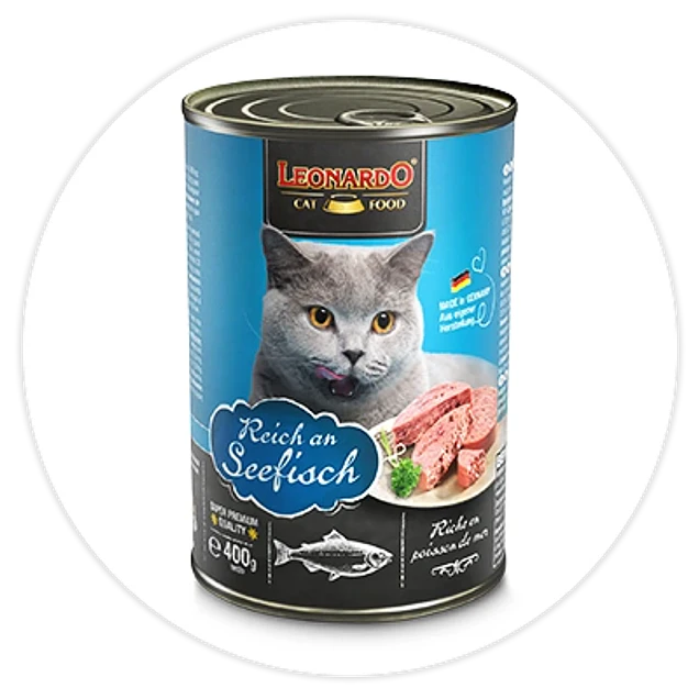 Alimento húmedo