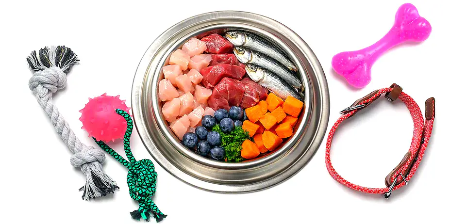Plato de alimento natural BARF con carne, pescado y arandanos rodeado de juguetes interactivos para perros, cuerdas y collar.