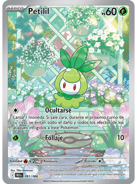 Petilil - 091/086 - Illustration Rare (Latino)