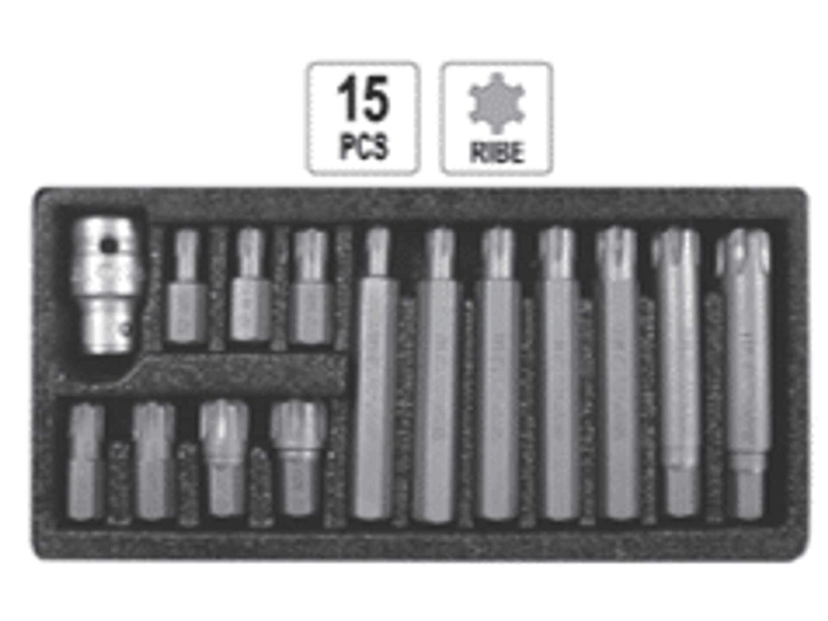Juego de puntas RIBE de 15 piezas