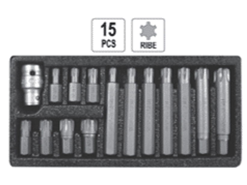 Juego de puntas RIBE de 15 piezas